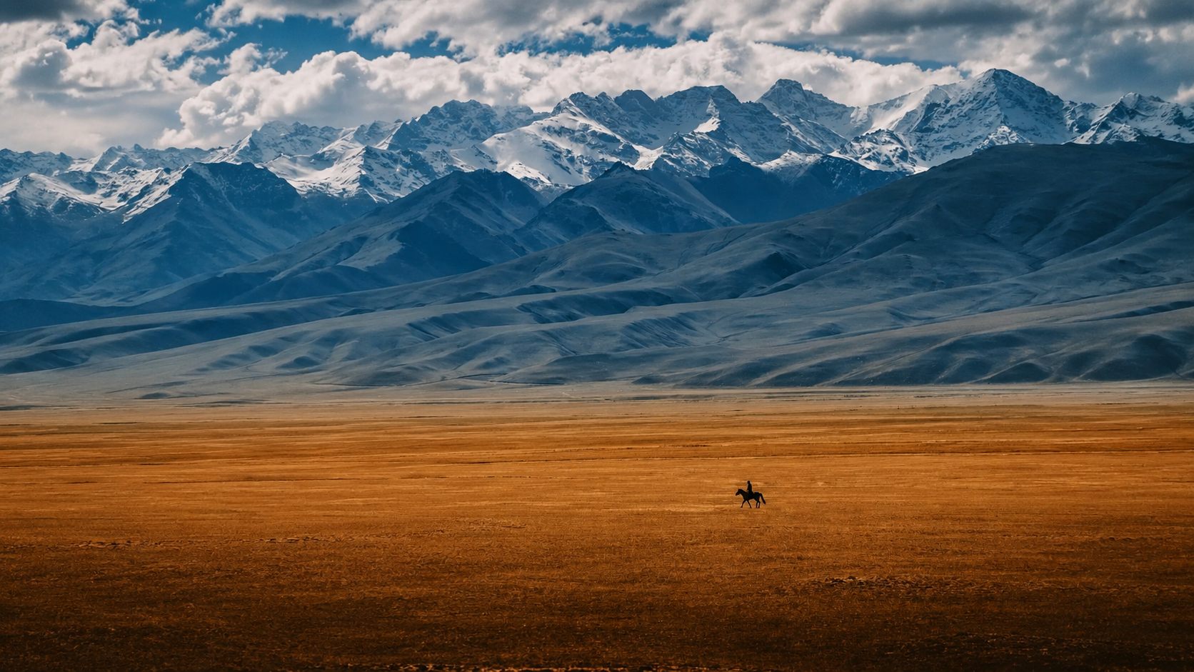 Steppe and horseman