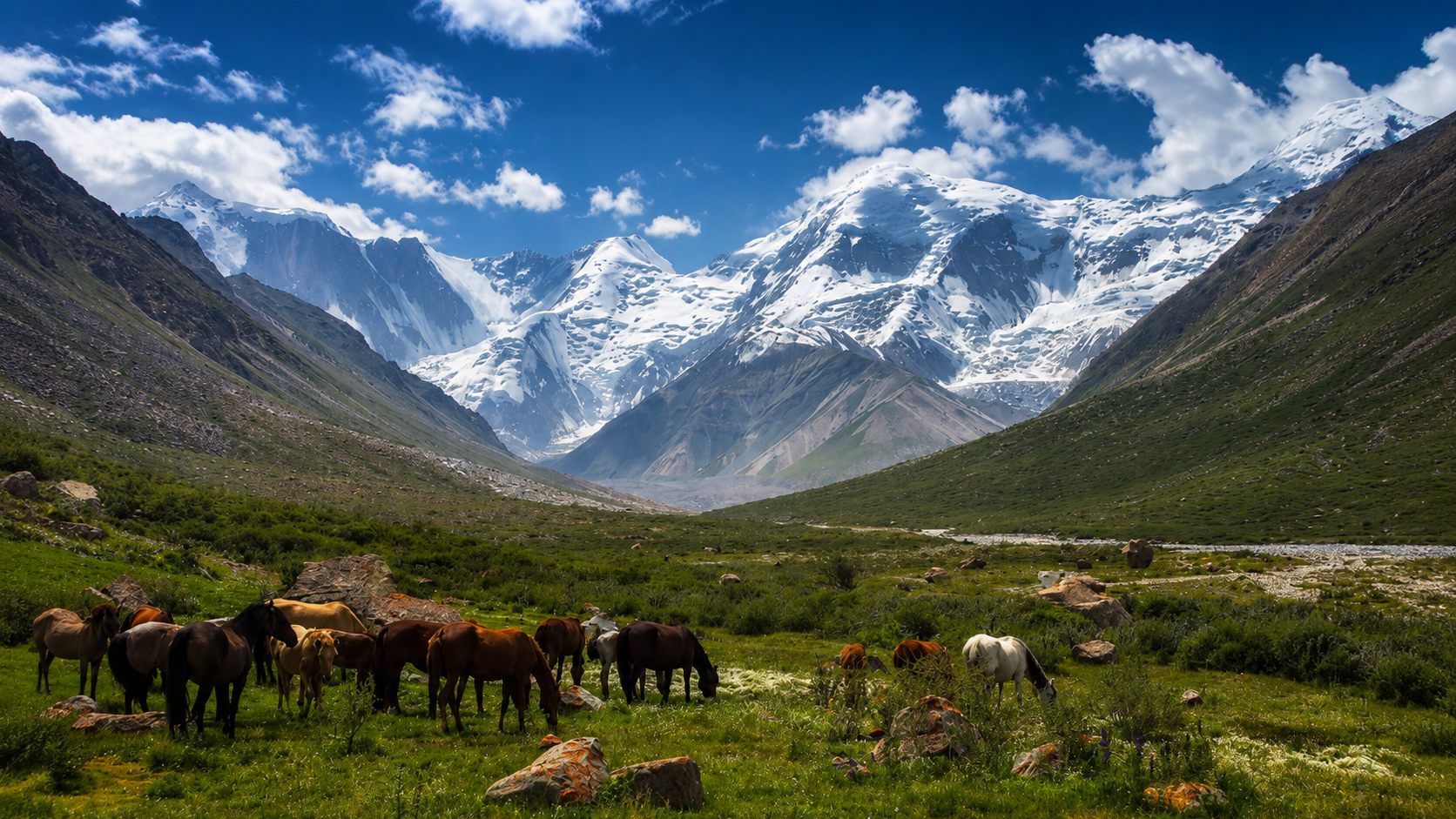 Alpine valley with horses